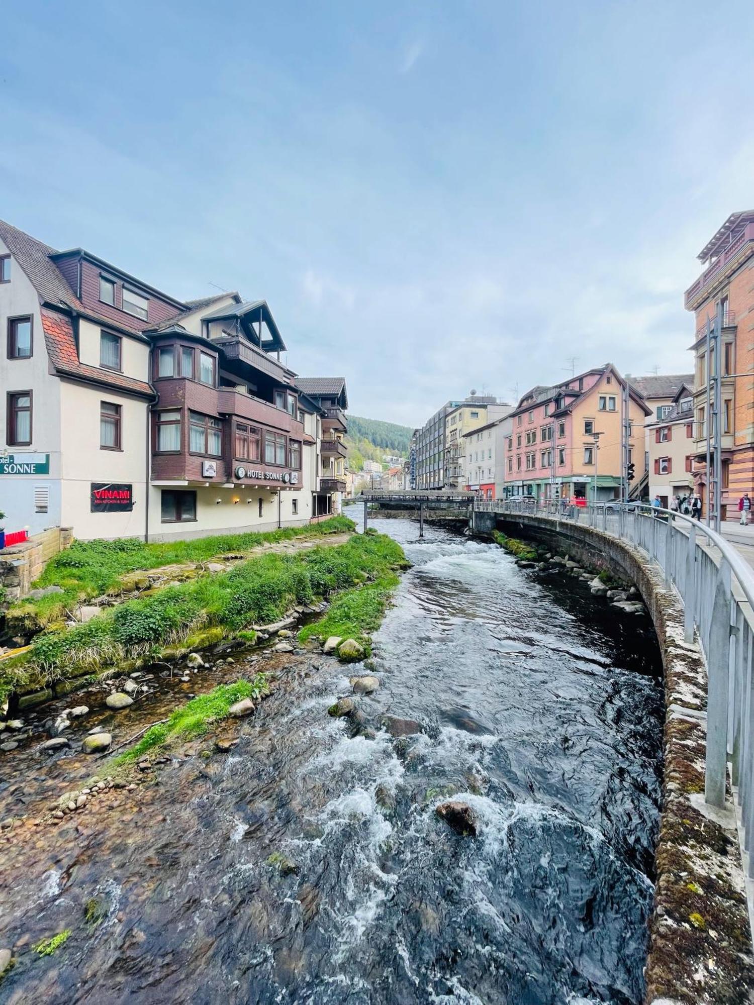 Bad Wildbad. Appartement 2.3 In Ruhige Lage. Esterno foto